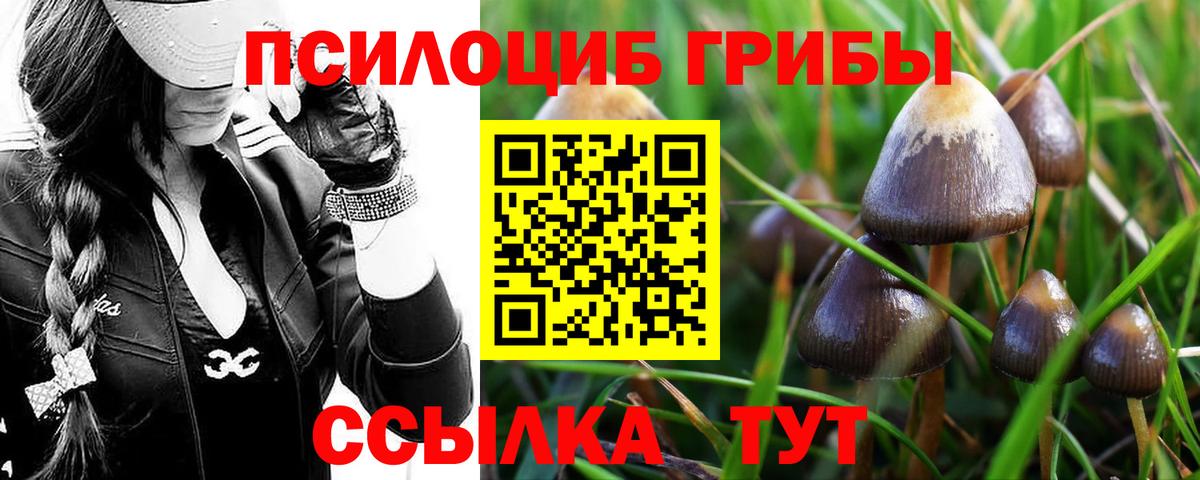 Псилоцибиновые грибы мицелий Семёнов