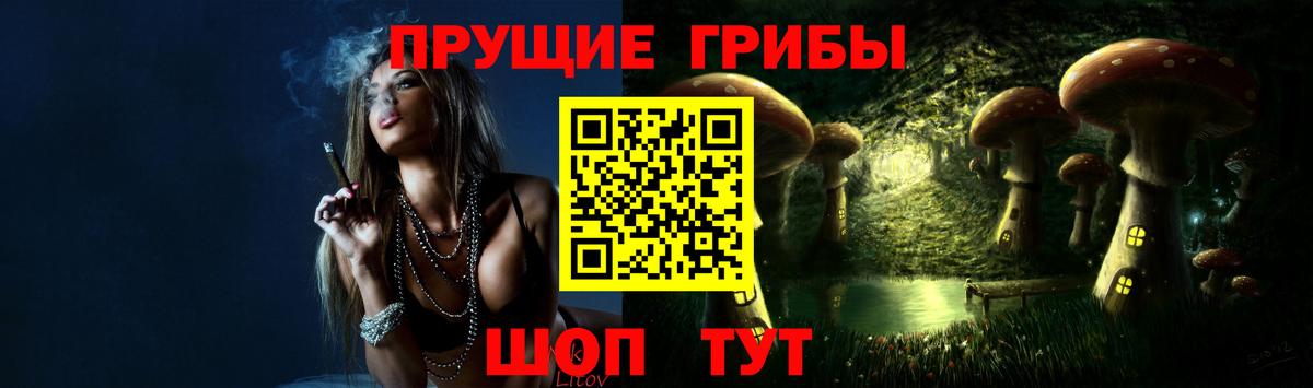 Псилоцибиновые грибы Cubensis  Вход с VPN  Семёнов 